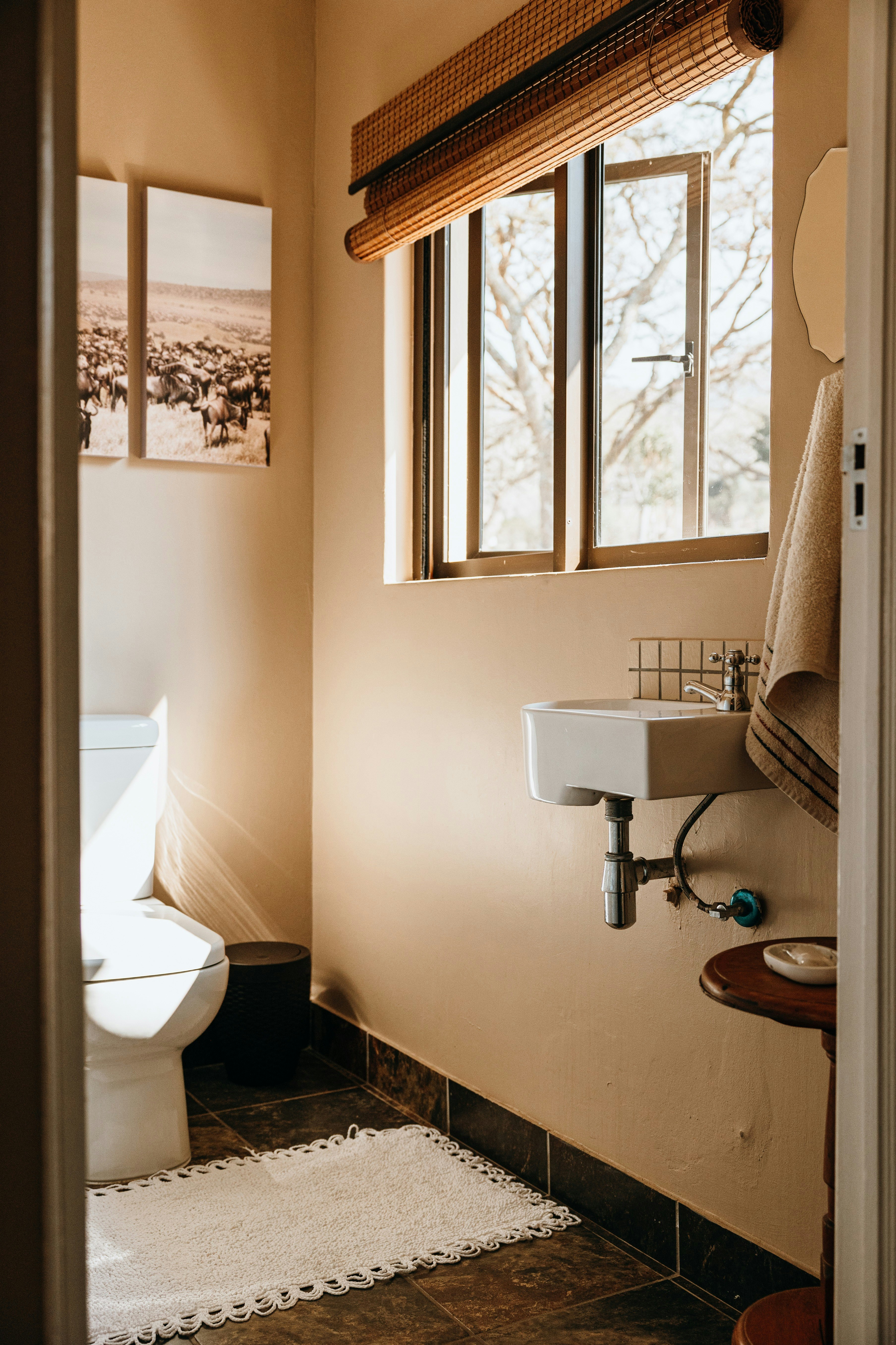 Tranquility Ukuthula Self Catering Game Farm House with Hot Tub image no 43 of 118