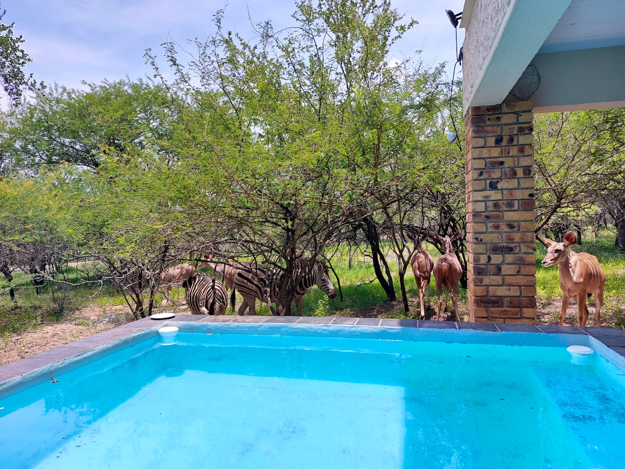 Kruger National Park South Accommodation at  | Viya