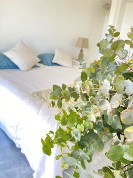 Jeffreys Bay Accommodation at  | Viya