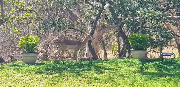 Panorama Route Accommodation at Casablanca's - A Private Farm Stay | Viya