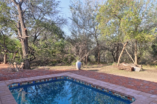 Kruger National Park South Accommodation at  | Viya