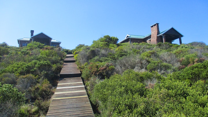 Western Cape Accommodation at Blue Whale Resort | Viya