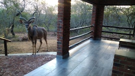 Kruger National Park South Accommodation at Villa de Leeu | Viya