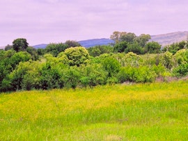 Cradle Of Humankind Accommodation at  | Viya