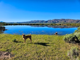 Garden Route Accommodation at Swartberg Wilds | Viya