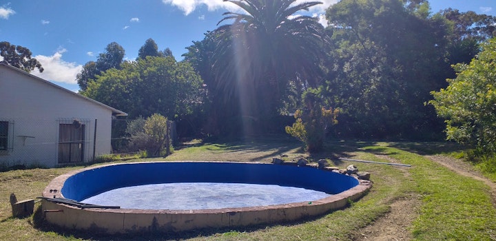 Cape Town Accommodation at Enchanted Forest Guest House | Viya