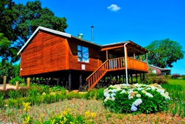 Magoebaskloof Accommodation at Forest View Cabins | Viya