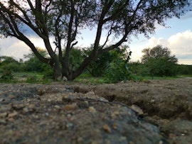 Kruger To Canyons Accommodation at Maru Djembe Campsite | Viya