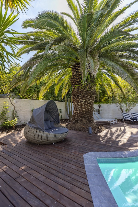 Cape Town Accommodation at  | Viya