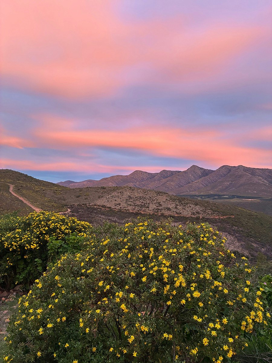 Skilpad Spoortjies Mountain Retreat image no 8 of 53