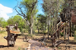 Waterberg Accommodation at  | Viya