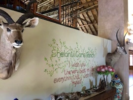 Limpopo Accommodation at Shelanti Game Reserve | Viya