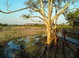 Limpopo Accommodation at SANParks Limpopo Forest Tented Camp | Viya