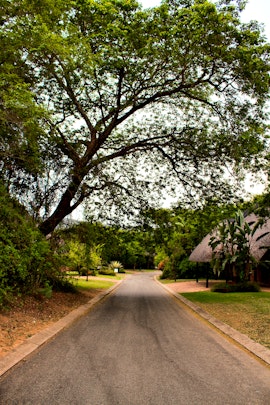 Panorama Route Accommodation at Kruger Park Lodge Unit No. 612 | Viya