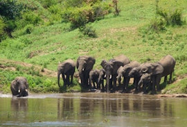 Kruger National Park South Accommodation at Marloth Park Hippo House | Viya