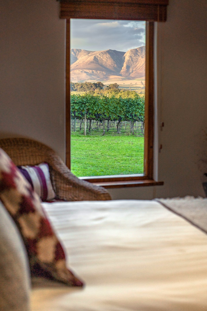 Elgin Accommodation at Belfield Wines and Farm Cottages | Viya