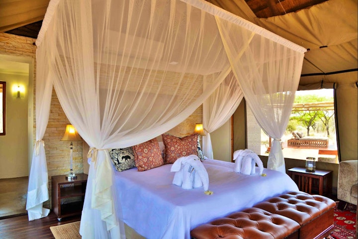 Limpopo Accommodation at Safari Plains | Viya