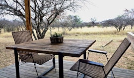 Dinokeng Game Reserve Accommodation at  | Viya