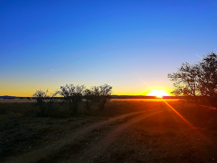 Western Cape Accommodation at Steenbokkie Nature Reserve | Viya