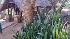 Limpopo Accommodation at Kudu Khaki | Viya