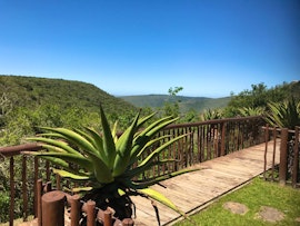 Eastern Cape Accommodation at Outspan Safaris | Viya