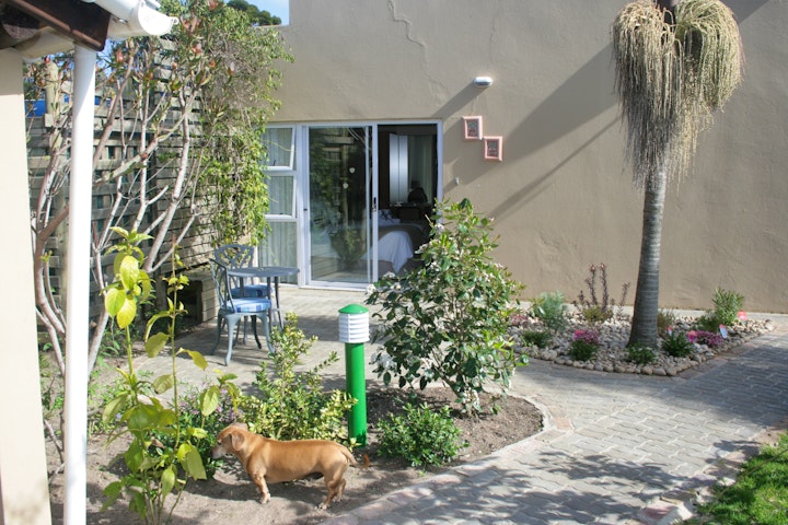Garden Route Accommodation at 113 on Robberg | Viya