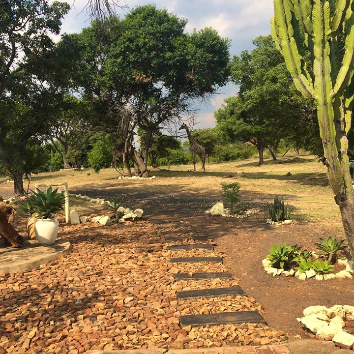 North West Accommodation at Out of Africa Lodge | Viya