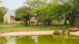 Dinokeng Game Reserve Accommodation at  | Viya