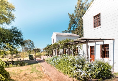  by Boerfontein Home Of Olivision | LekkeSlaap