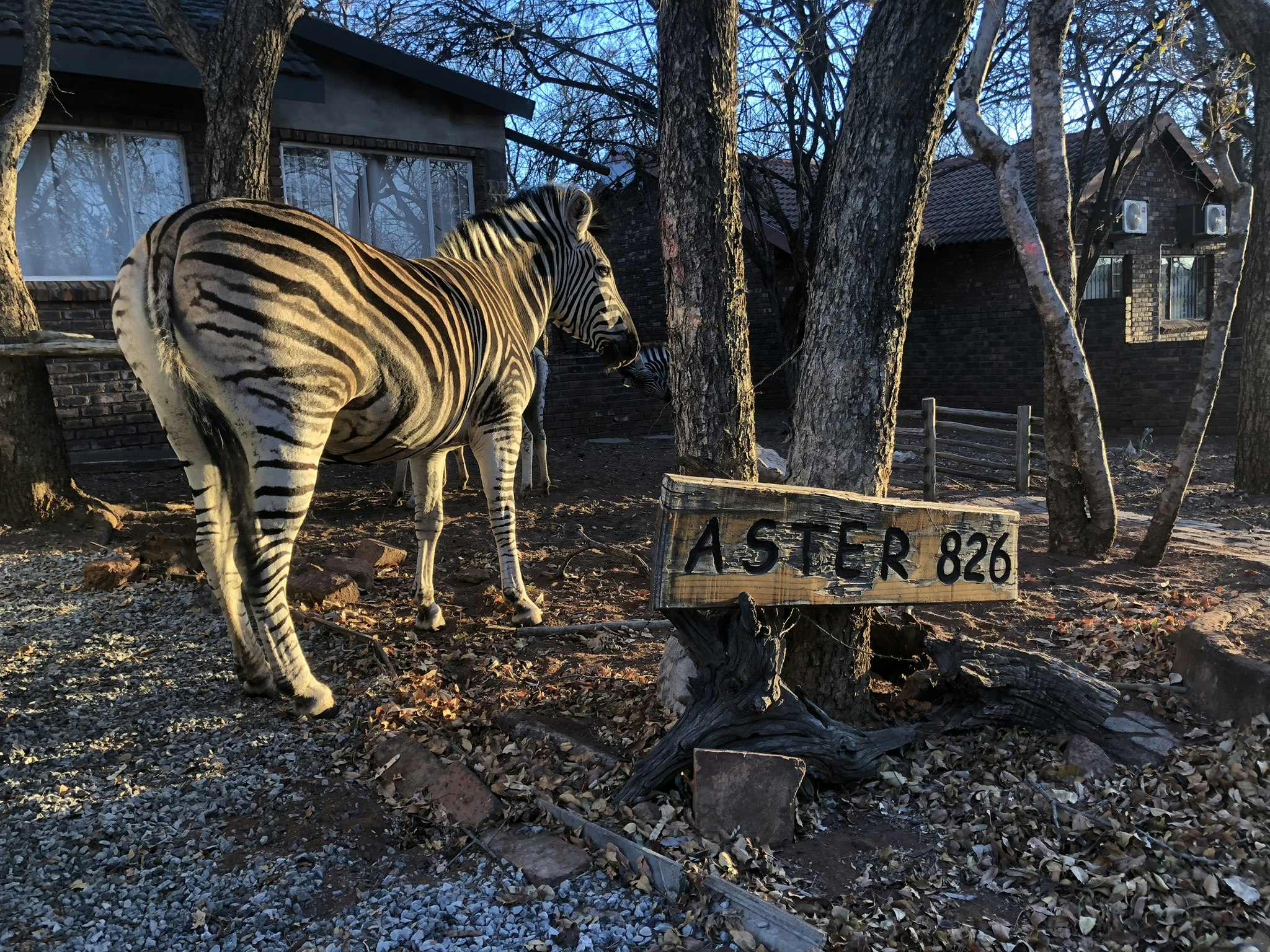 AAEAAQAAAAAAAAAAAAAAE5AVE2gmfIR36YjhW1U4jSZbHJeIwpvFSQJFk9LeAf9DK7tziN?w=1440&h=960&fit=crop&auto=enhance,format,compress&q=80