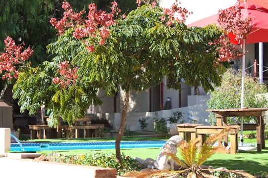 Garden Route Accommodation at  | Viya