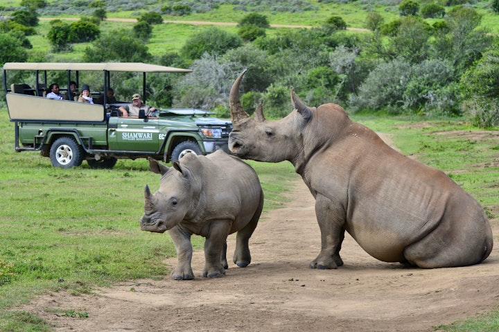 Eastern Cape Accommodation at Shamwari Lobengula | Viya