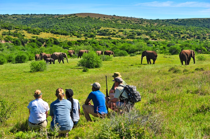 Eastern Cape Accommodation at Shamwari Explorer Camp | Viya