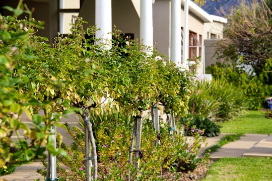 Boland Accommodation at  | Viya