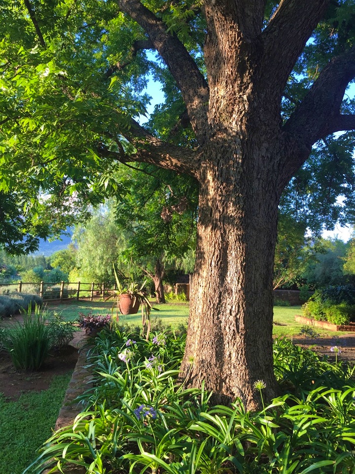 Bojanala Accommodation at La Bastide | Viya