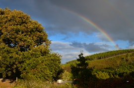 Overberg Accommodation at Laughing Waters Farm | Viya