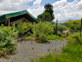 Free State Accommodation at  | Viya