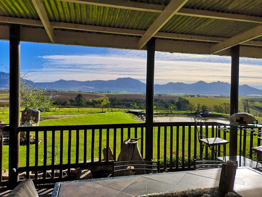 Myrtle Grove Reviews