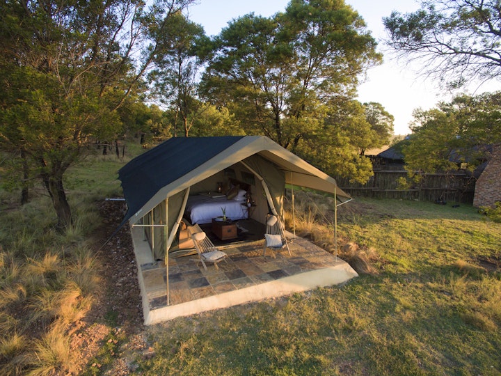 Mpumalanga Accommodation at Sibani Lodge - Glamping Tents | Viya