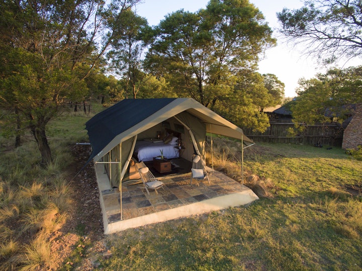 Gauteng Accommodation at Sibani Lodge - Glamping Tents | Viya