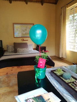 Gauteng Accommodation at  | Viya