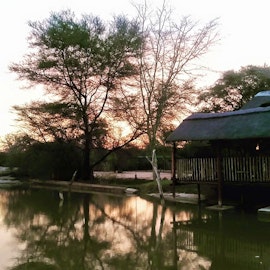 Limpopo Accommodation at Chinaka Game Lodge | Viya