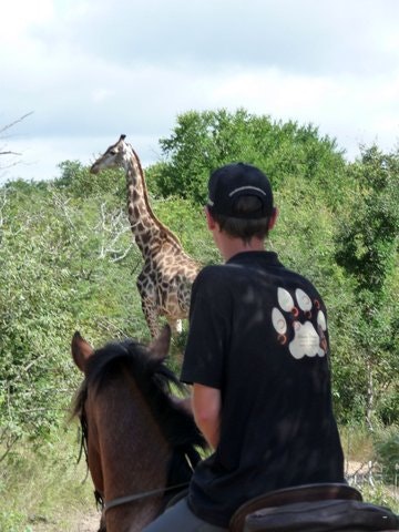 African Dream Horse Safaris