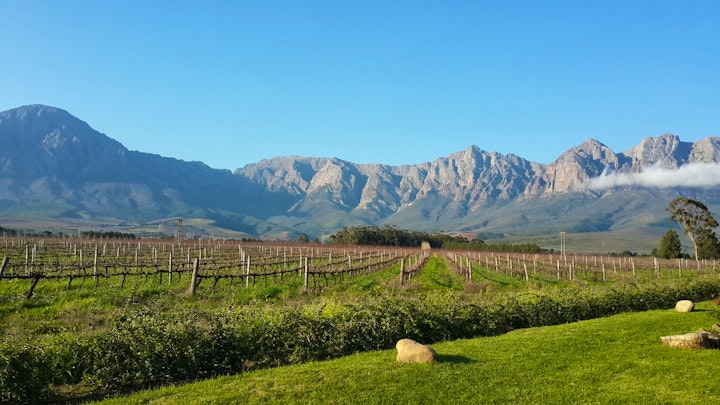 Western Cape Accommodation at Seven Oaks Vineyard Cottages | Viya