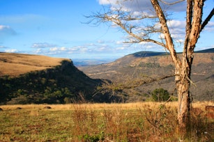 Umgeni Valley Nature Reserve