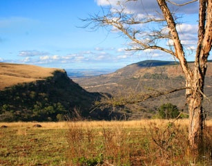 Umgeni Valley Nature Reserve