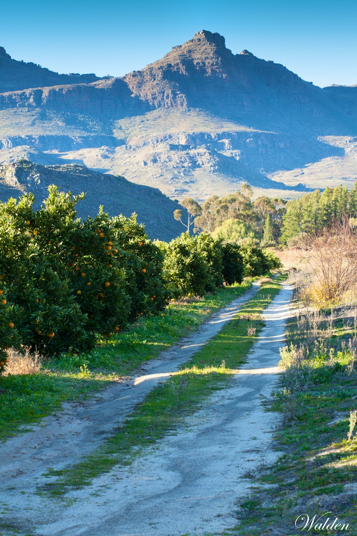 Cederberg Accommodation at Kunje Guest Farm | Viya