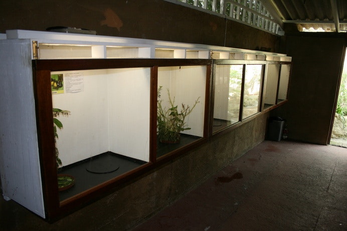 Ramsgate Butterfly Valley 