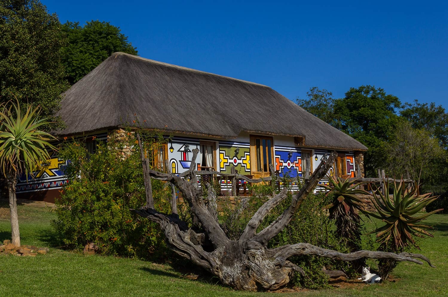 Addo Bush Palace Private Reserve - 