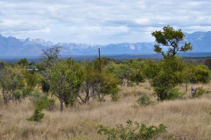 Limpopo Accommodation at Gem Bateleur Private Lodge | Viya